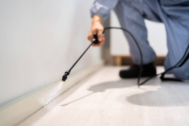 Bed Bug Pre-Treatment Preparation Assessment in Pleasant Gap