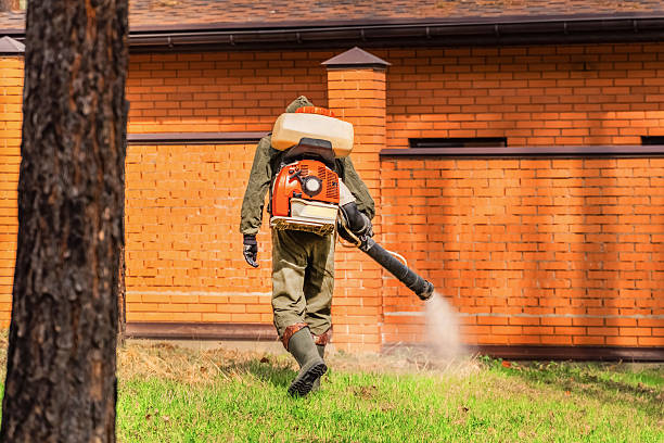 Bed Bug Clearance Verification and Documentation in Pleasant Gap